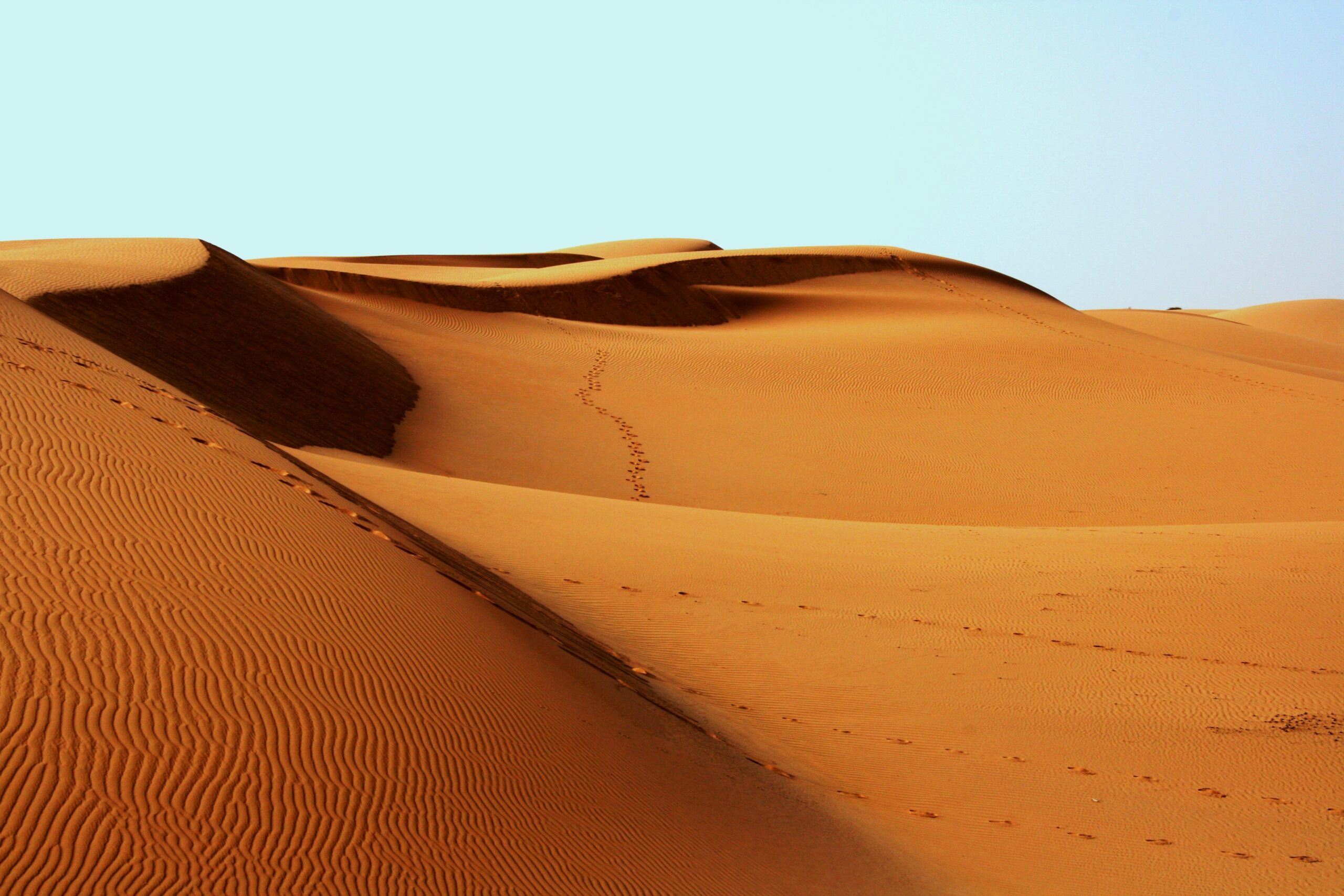 Deserto in Africa