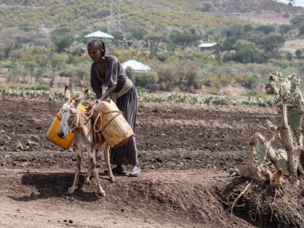 Etiopia e Agricoltura